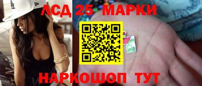 стафф Пенза